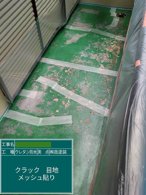 P1030141.jpg