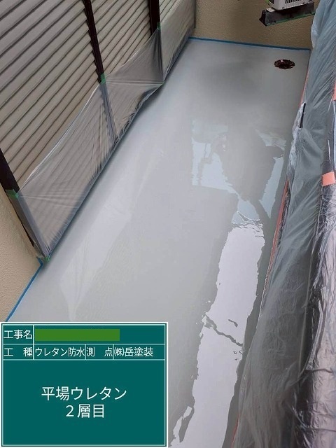 P1030141.jpg