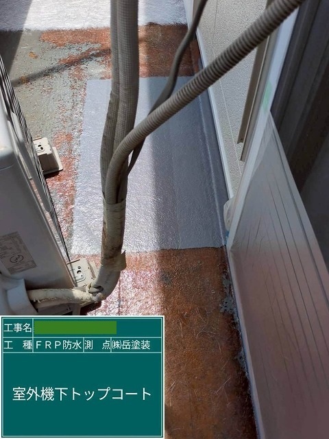 P1030141.jpg