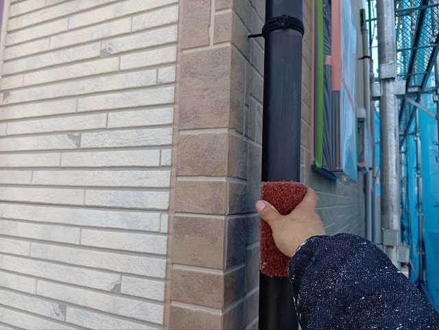 P1030141.jpg