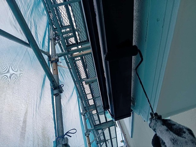 P1030141.jpg