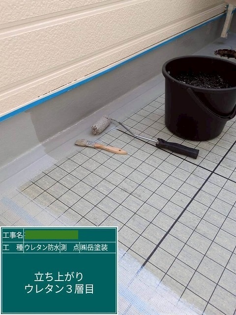 P1030141.jpg