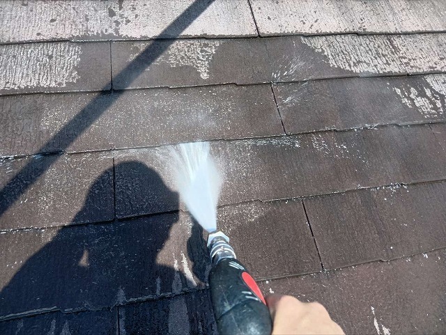 P1030141.jpg