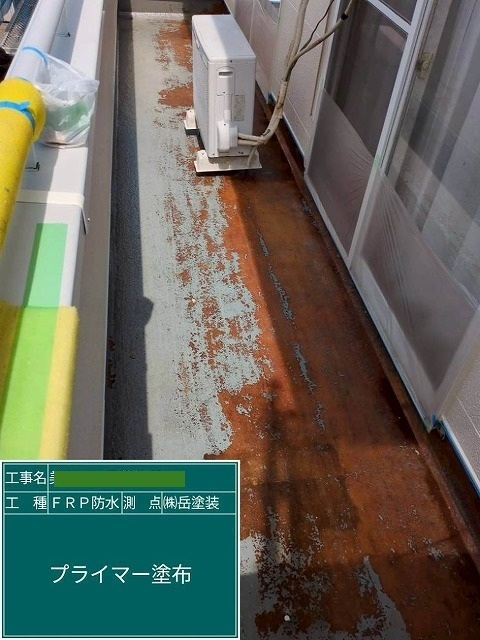 P1030141.jpg
