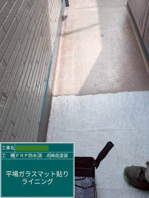 P1030141.jpg