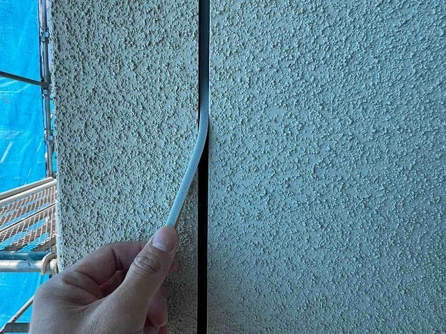 P1030141.jpg