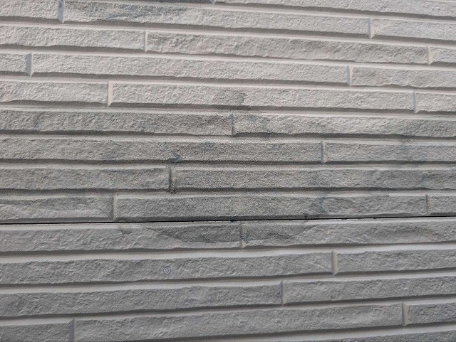 P1030141.jpg