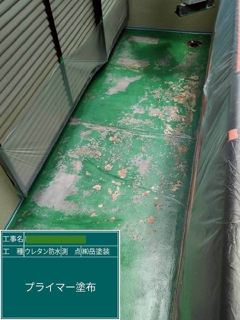 P1030141.jpg