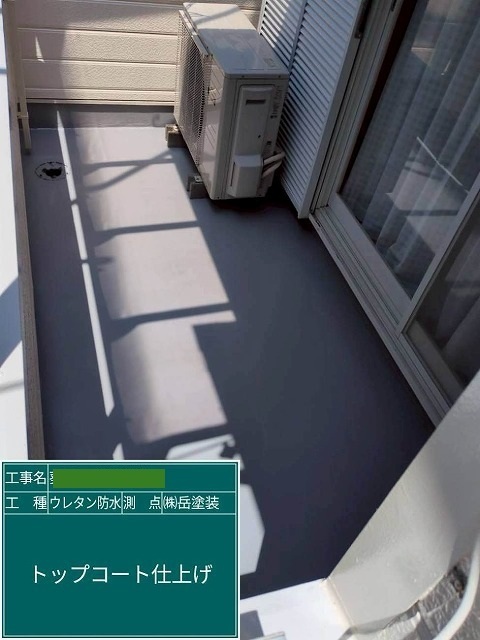 P1030141.jpg