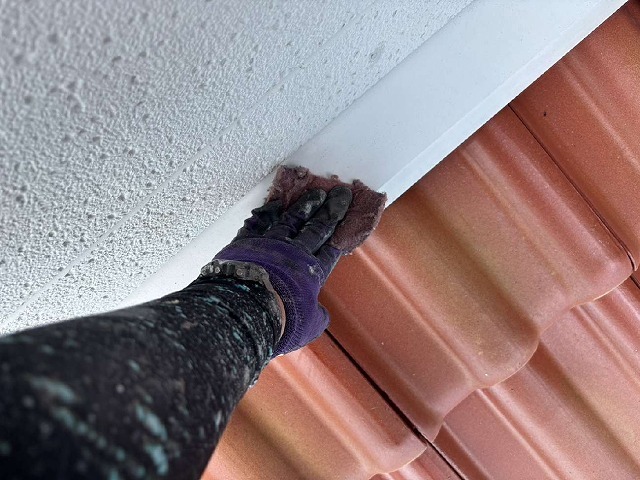 P1030141.jpg