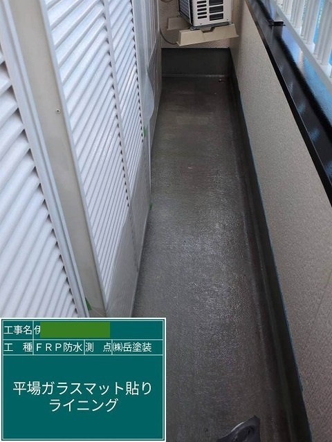 P1030141.jpg