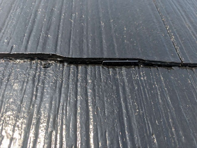 P1030141.jpg