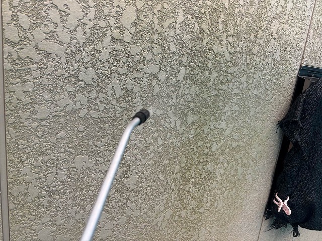 P1030141.jpg