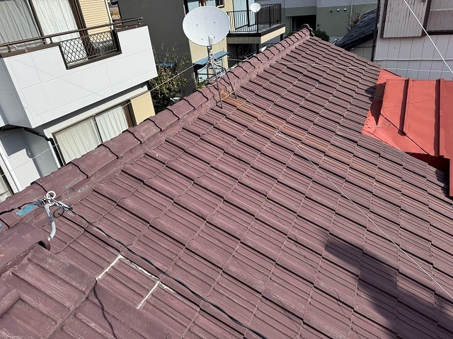 P1030141.jpg