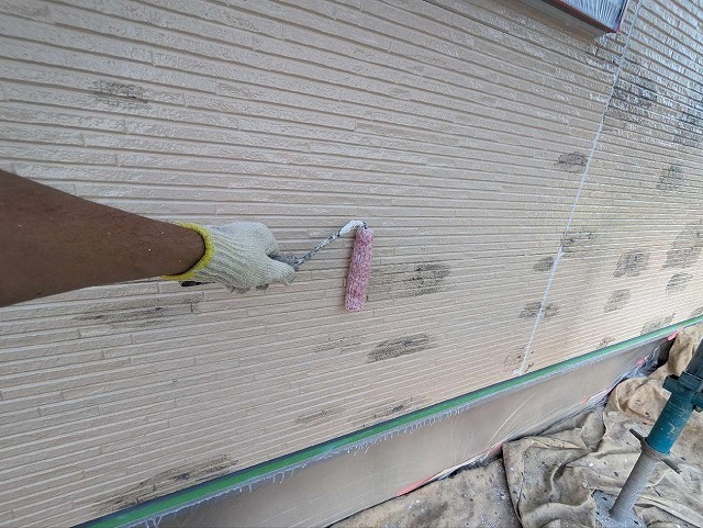 P1030141.jpg