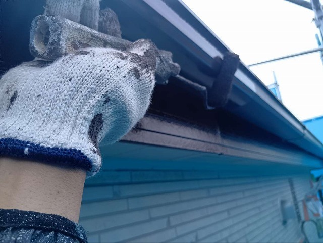 P1030141.jpg