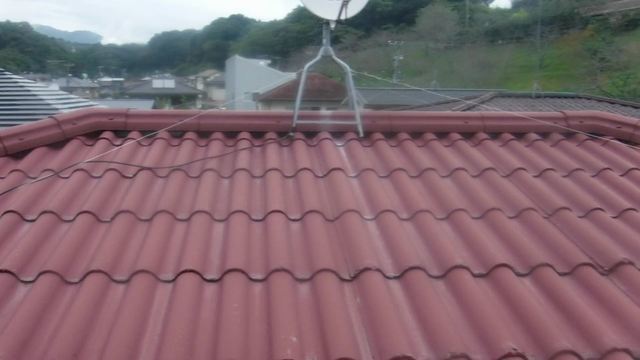 P1030141.jpg