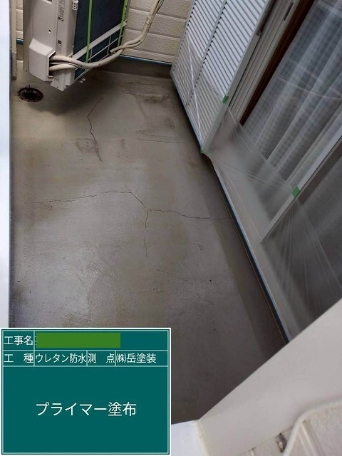 P1030141.jpg