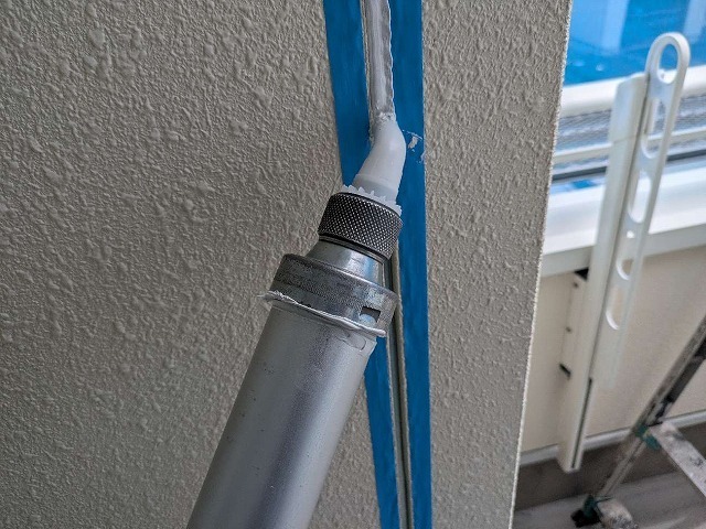 P1030141.jpg