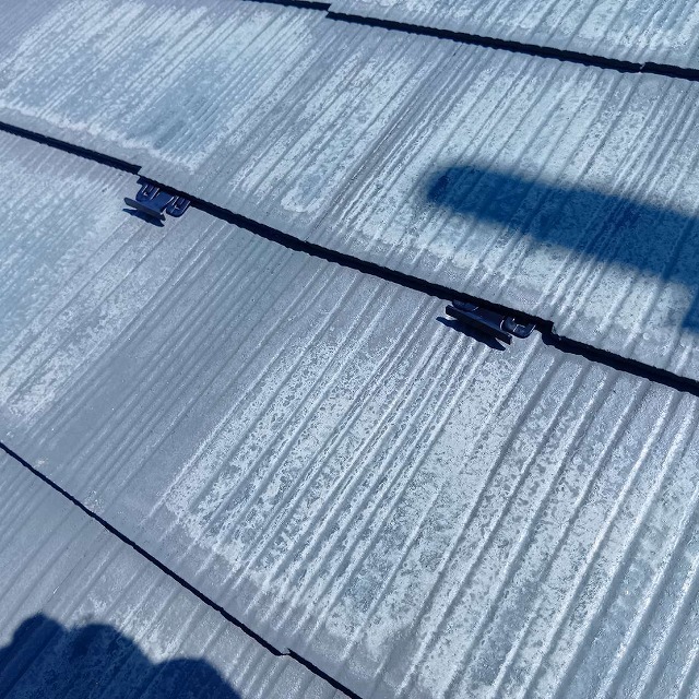 P1030141.jpg