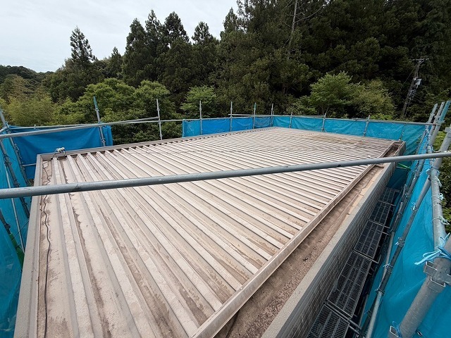 P1030141.jpg