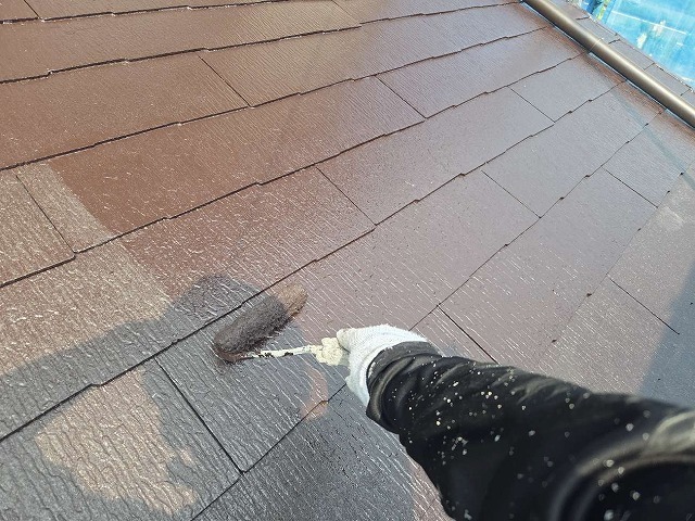 P1030141.jpg