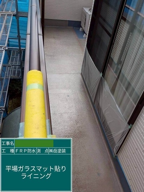 P1030141.jpg