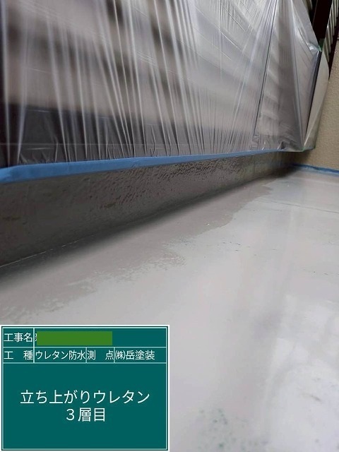 P1030141.jpg