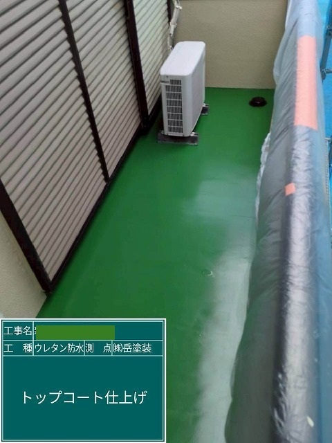 P1030141.jpg