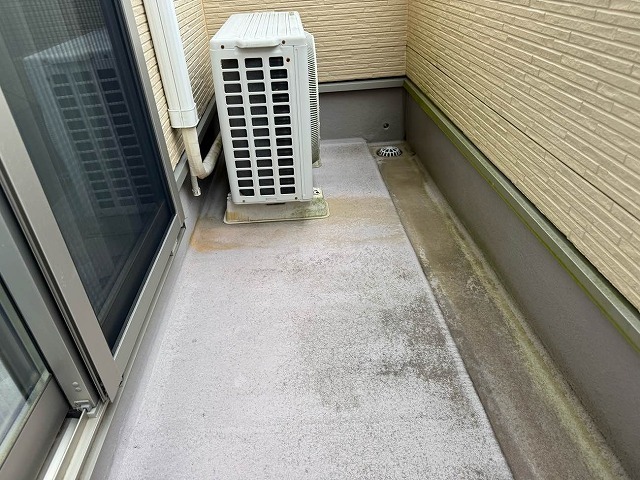P1030141.jpg