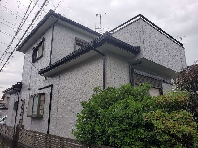 P1030141.jpg