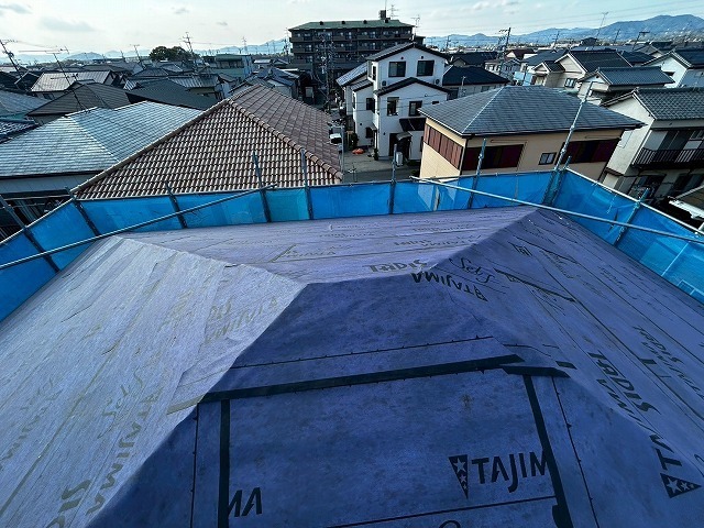 P1030141.jpg