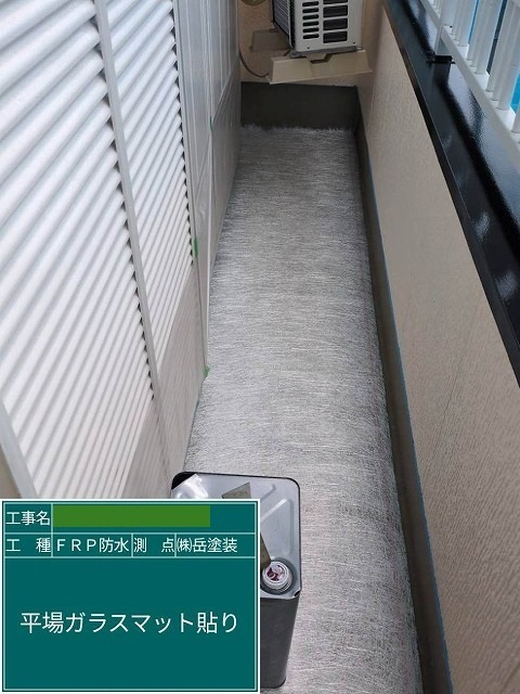 P1030141.jpg
