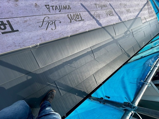 P1030141.jpg